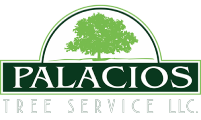 Palacios Tree Service